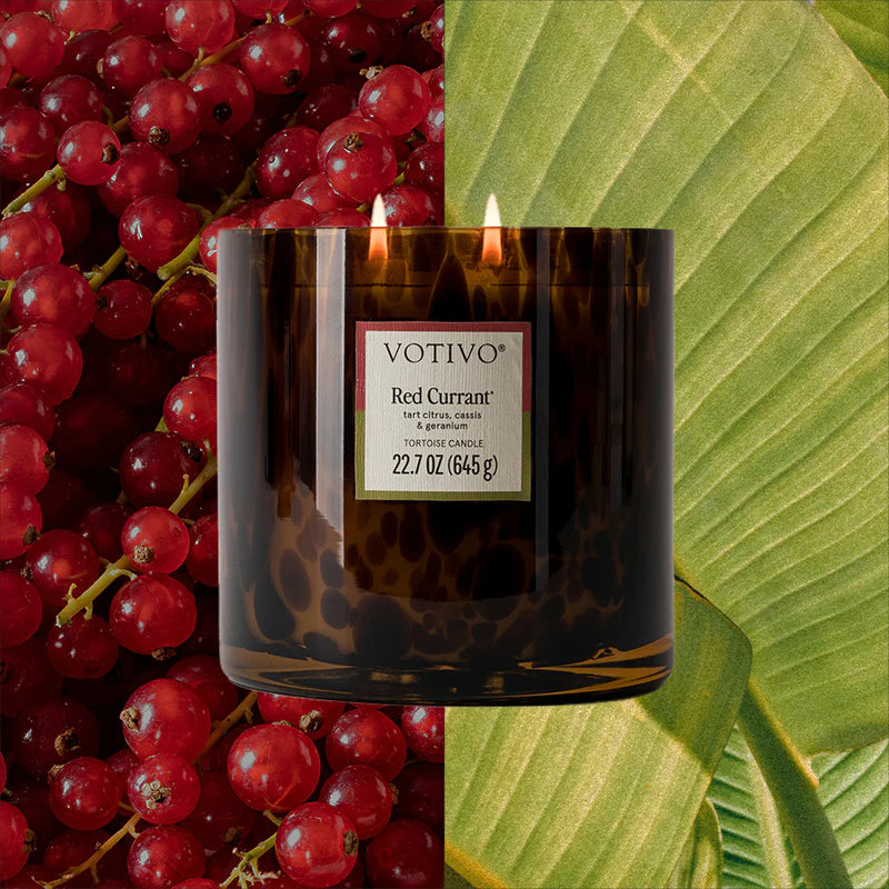 Red Currant Tortoise Candle 22.7 oz